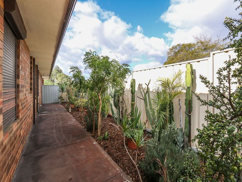 47 Anglesey Drive, Kardinya WA 6163, Image 2