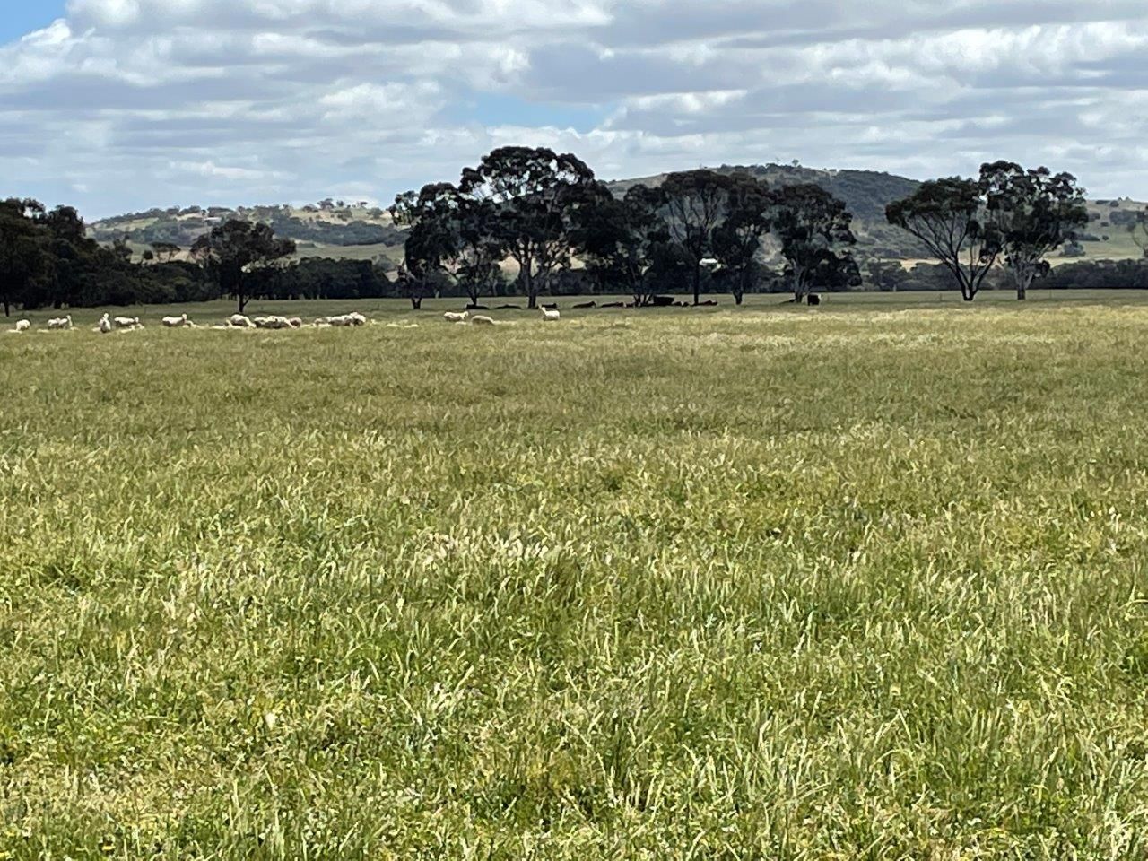 Lot 200 Westdale Road, Beverley WA 6304 House for Sale Domain