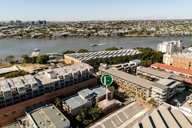 136 Commercial Road Teneriffe 4005 - Image 5