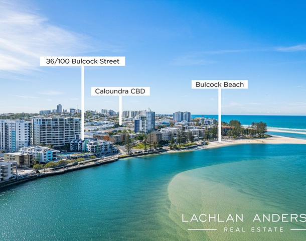 36/100 Bulcock Street, Caloundra QLD 4551