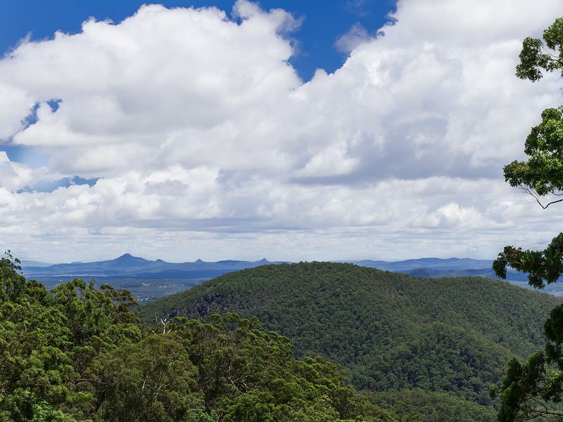 1682 Tamborine - Oxenford Road, Tamborine Mountain QLD 4272, Image 2