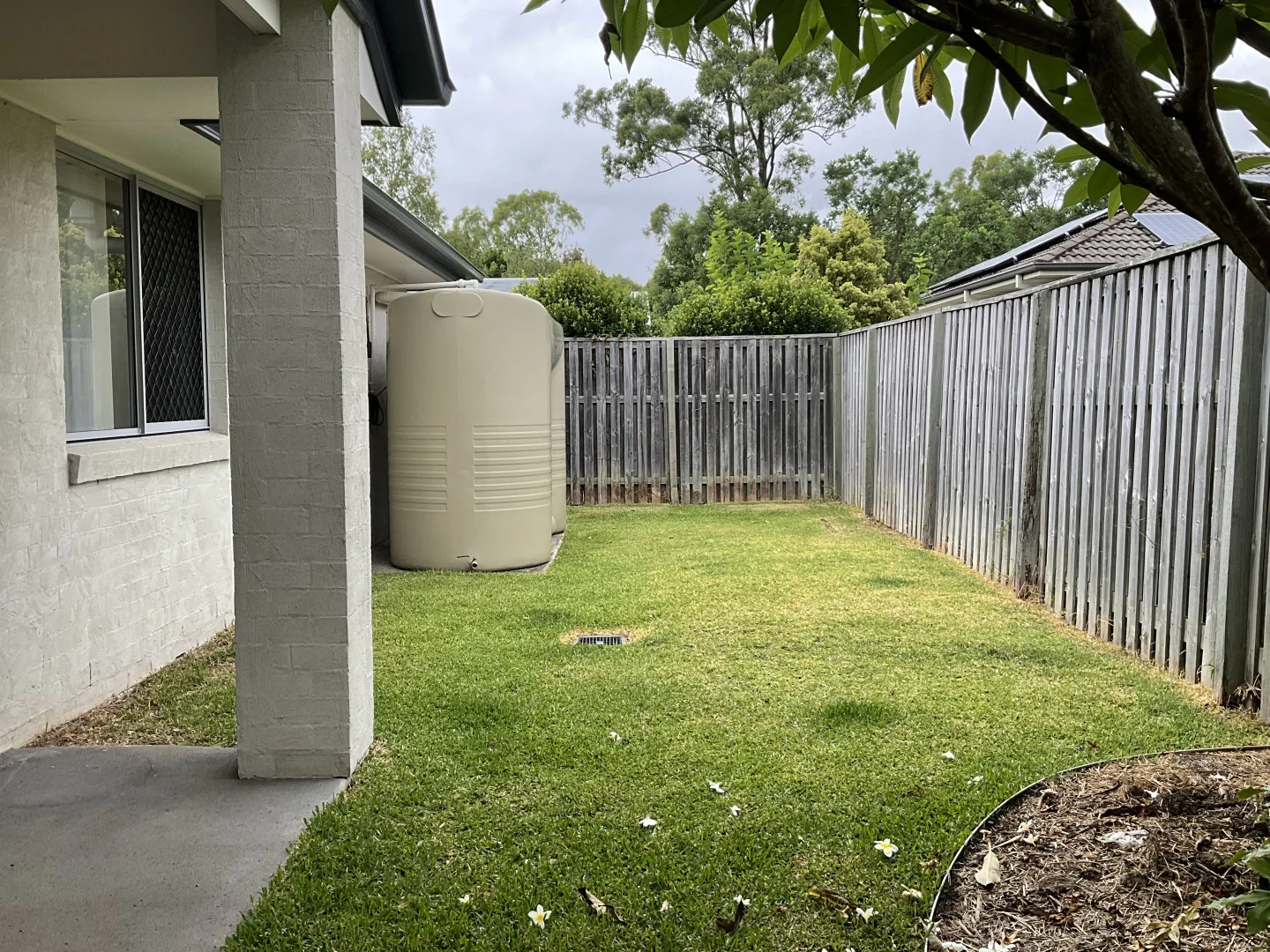 Image 13