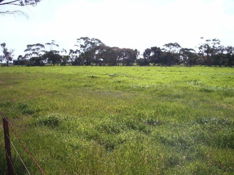 Lot 101 Old Padthaway Road, Mundulla SA 5270, Image 1