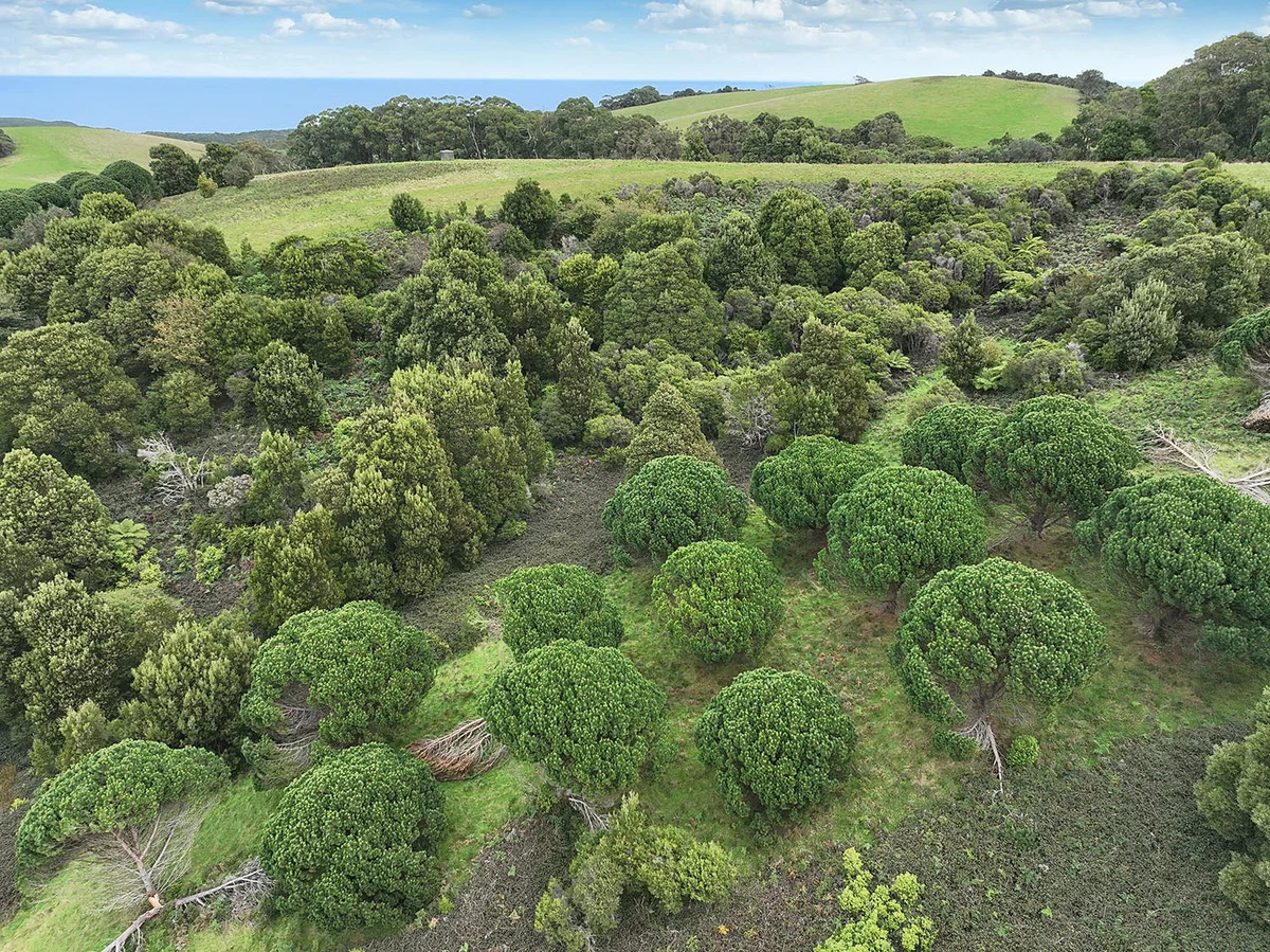 Additional image 21 of 110 Staffords Road, Johanna VIC 3238