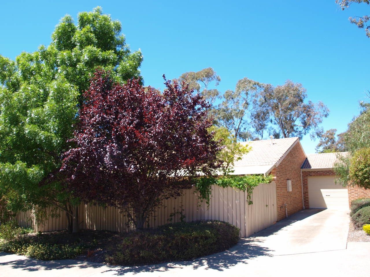 19/8 Glenmaggie Street, Duffy ACT 2611, Image 0