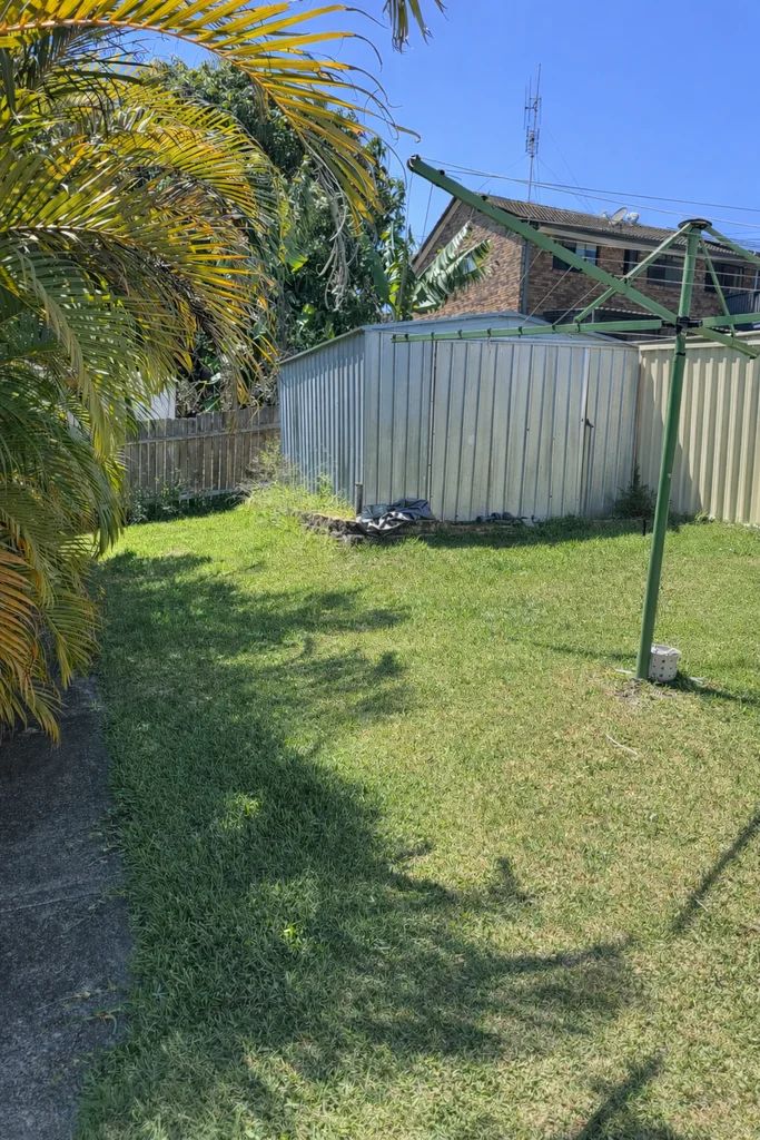 Image 6