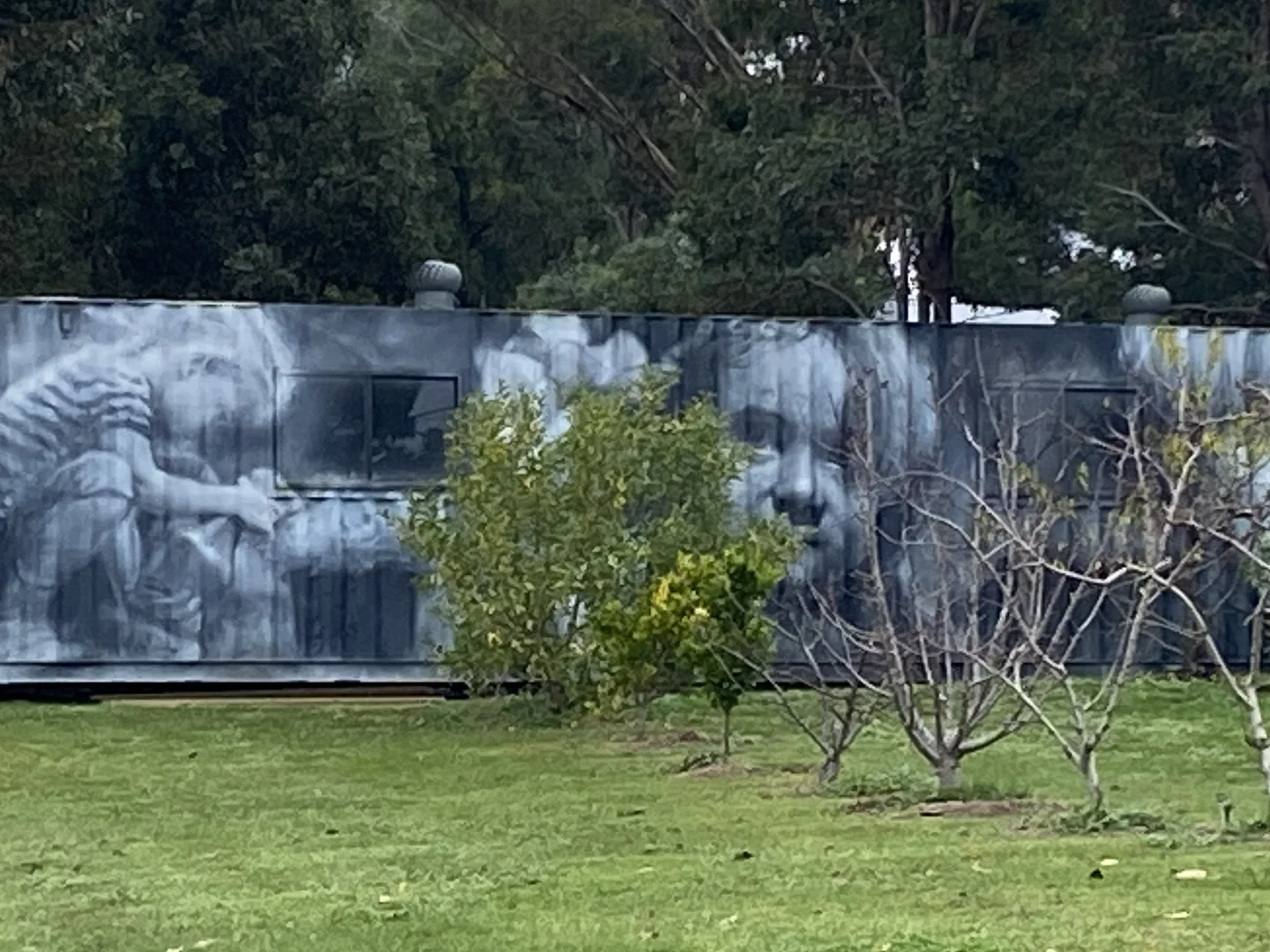 Image 11