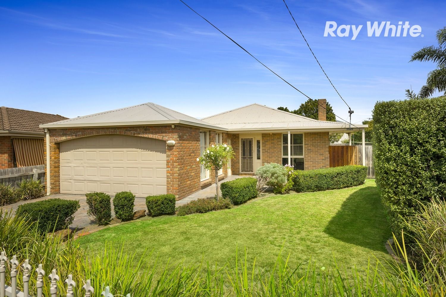 6 Holland Avenue, Dingley Village VIC 3172, Image 0