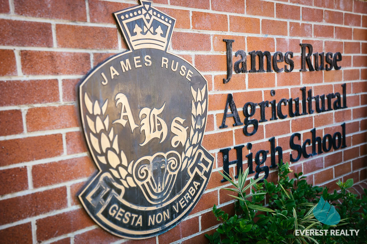 Additional image 18 of 177/10 Thallon Street, Carlingford NSW 2118