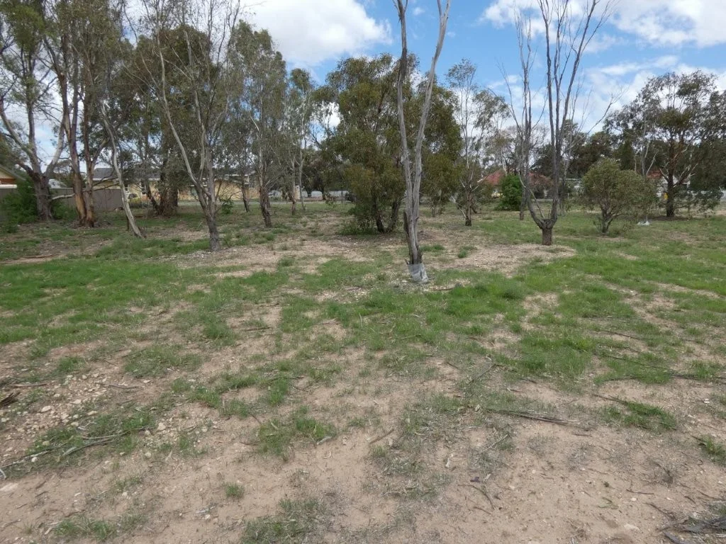 Additional image 6 of 33-35 Bell St, Beulah VIC 3395