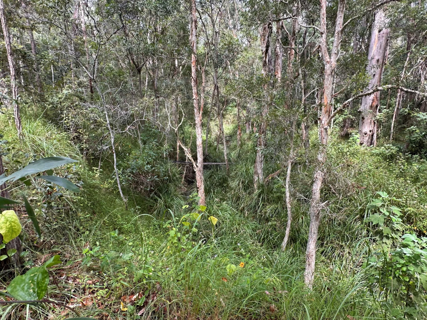 Image 11