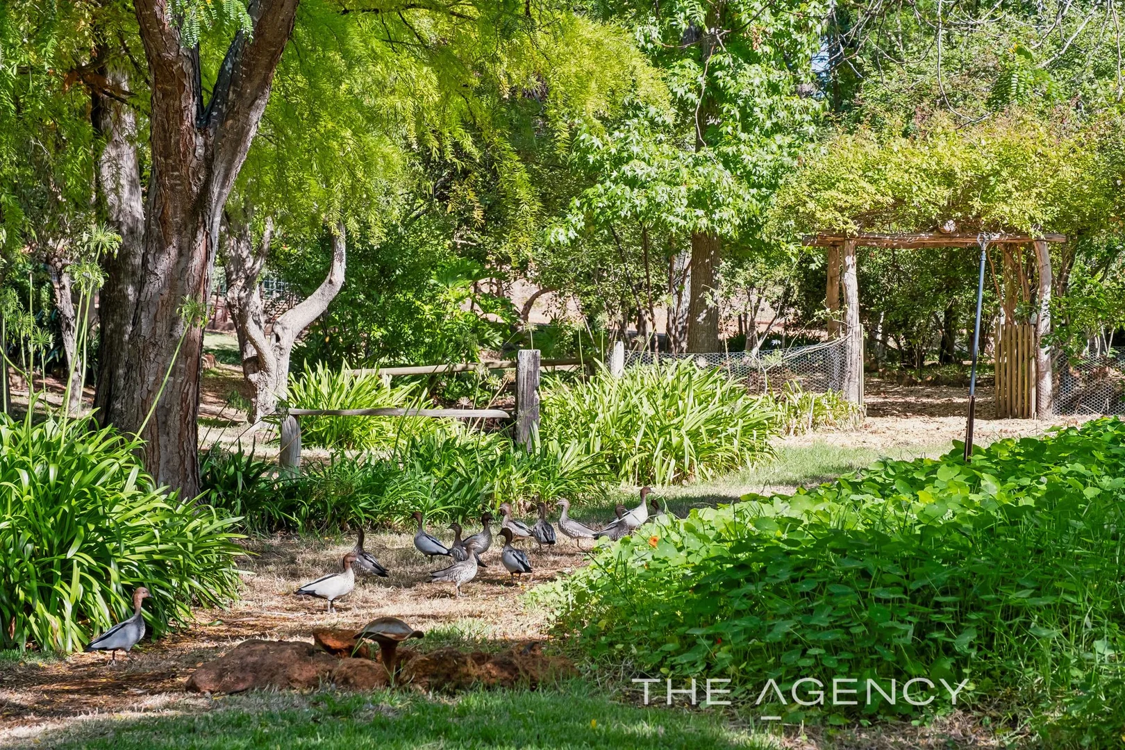 Additional image 19 of 2 Hartung Street, Mundaring WA 6073