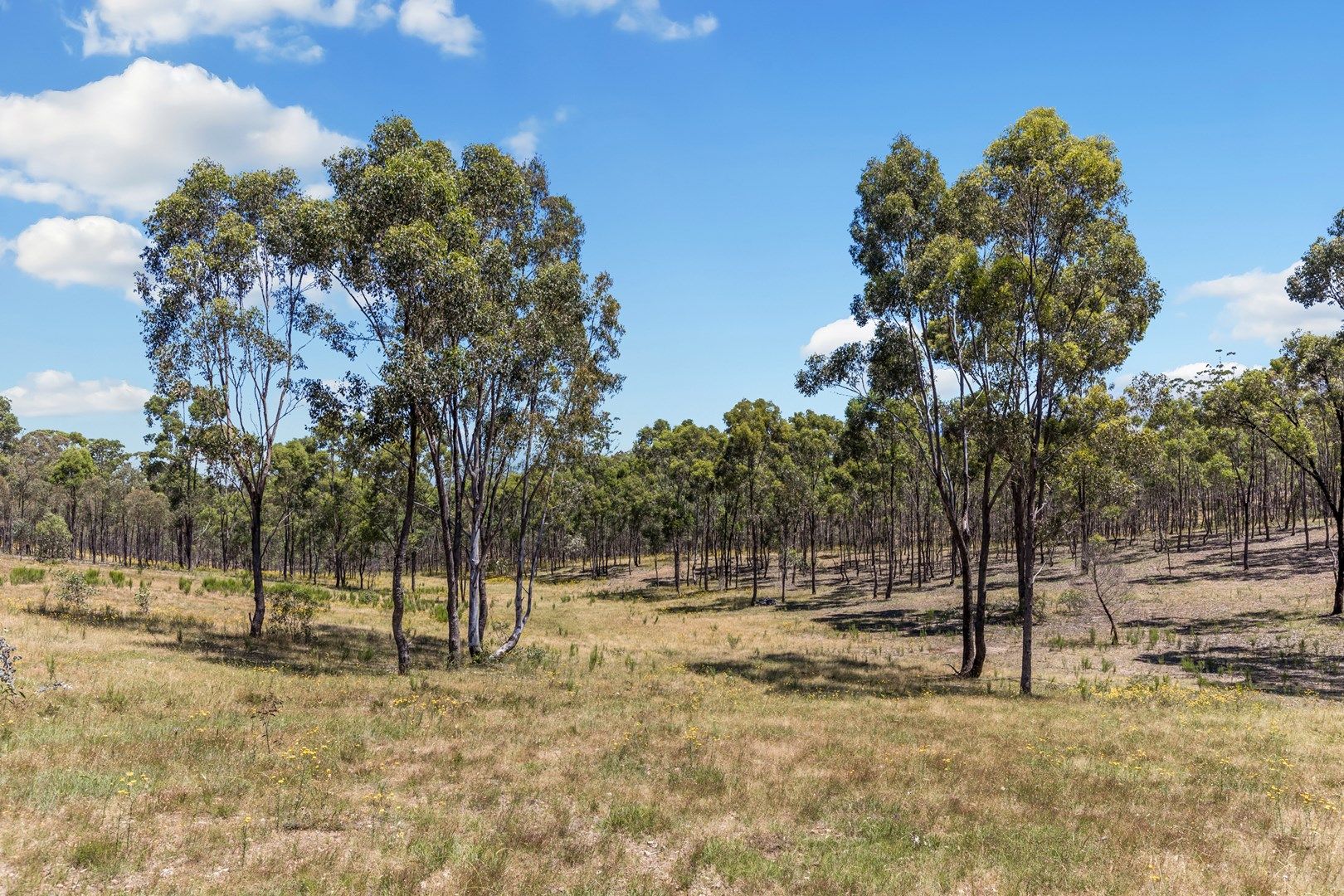 23 Clancy Road, Eppalock VIC 3551, Image 0