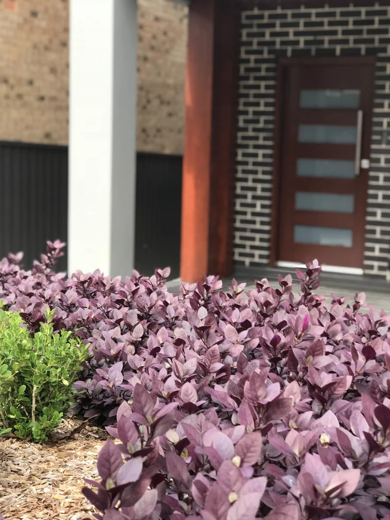 Additional image 9 of 3A Frederick Street, Bankstown NSW 2200