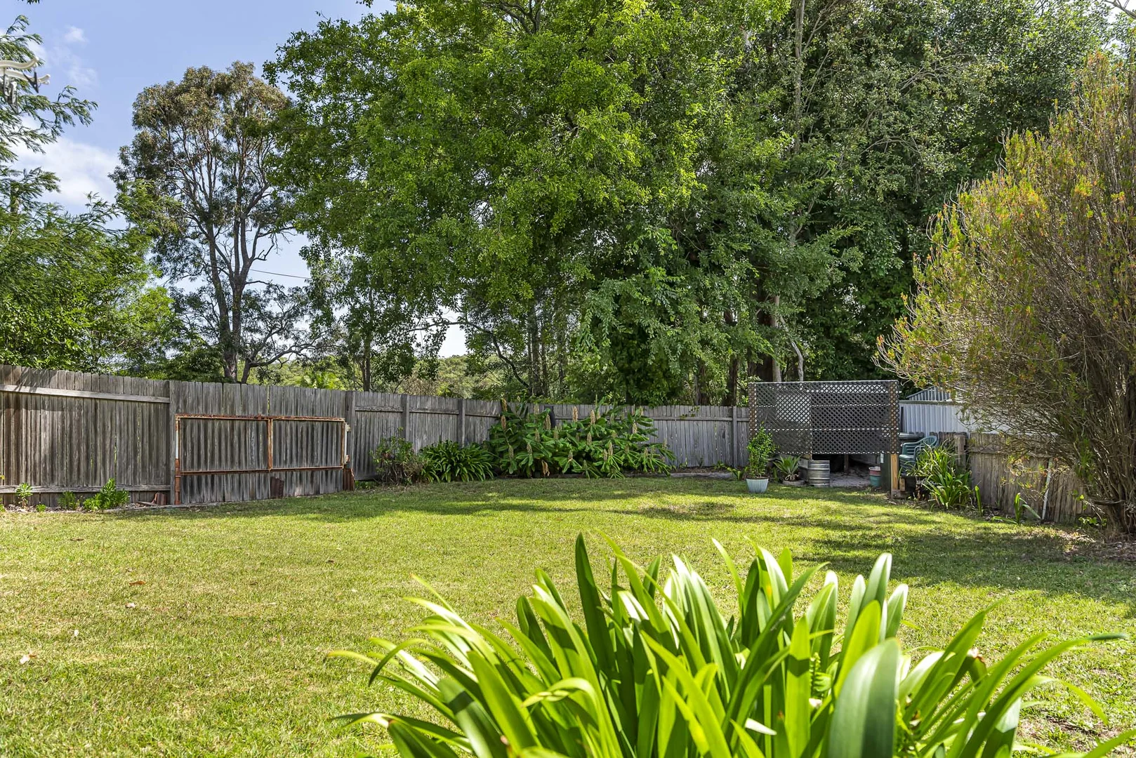 Image 14