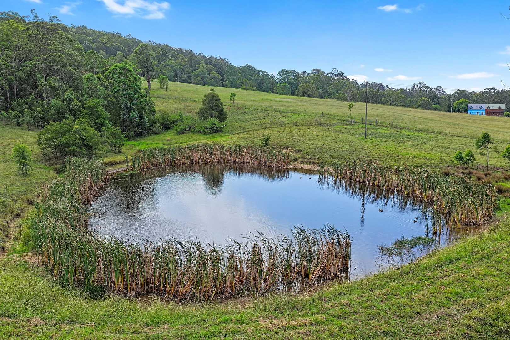 Additional image 9 of 1338 Ebsworth Road, Booral NSW 2425