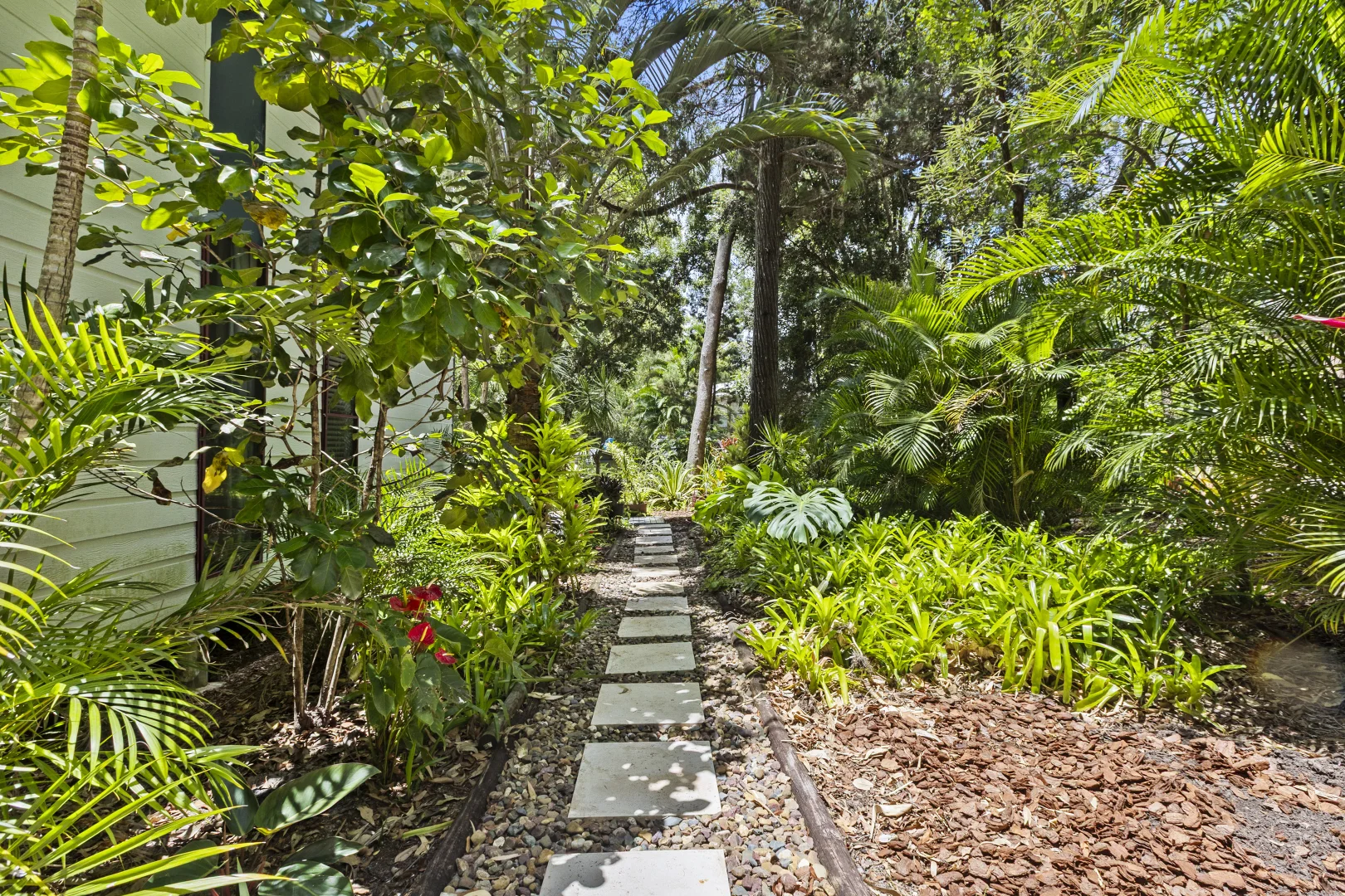 Image 13