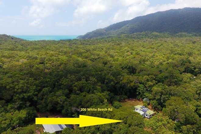 Picture of 6 White Beech Road, DAINTREE QLD 4873