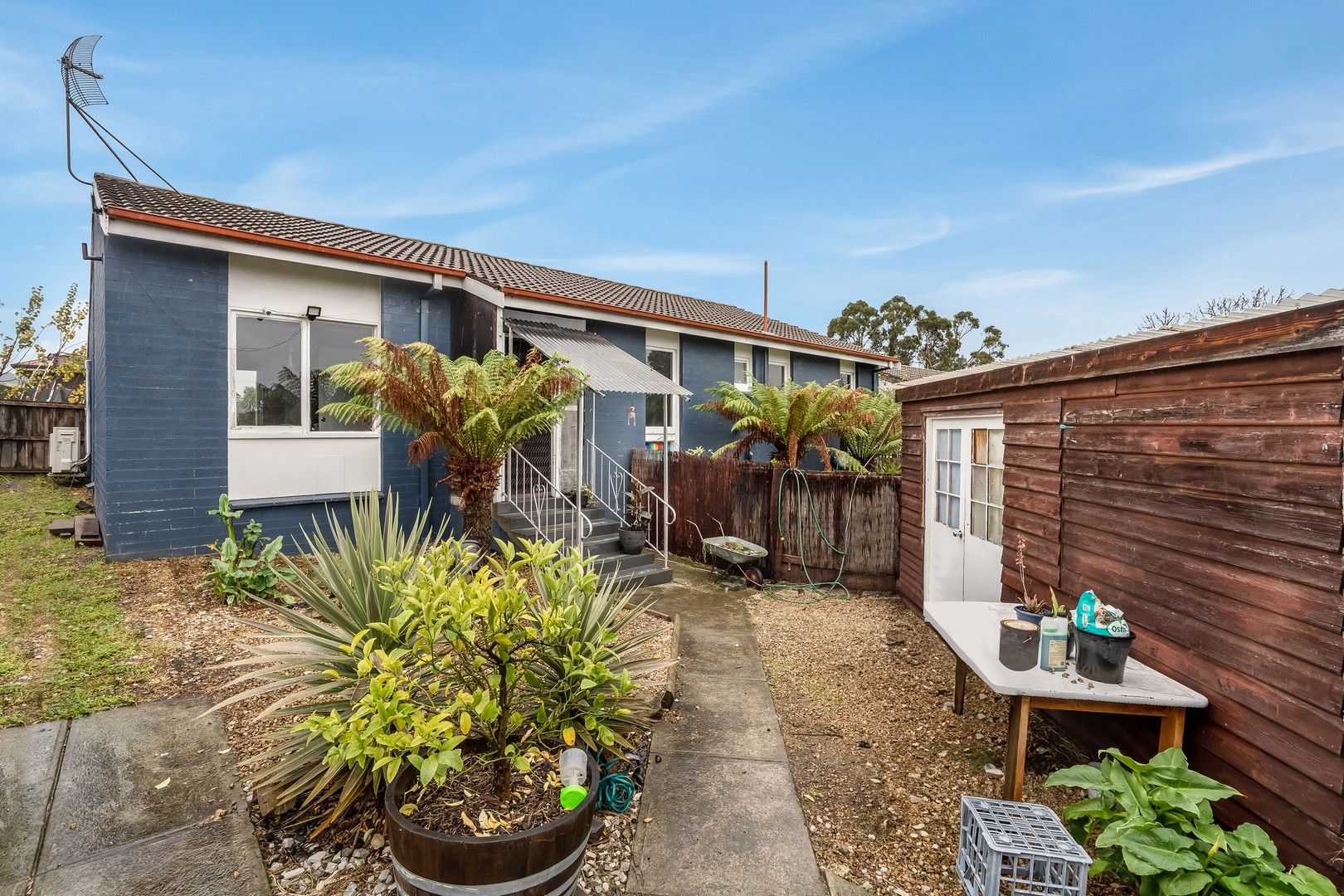 7 Benboyd Circle, Rokeby TAS 7019 House For Rent 475 Domain