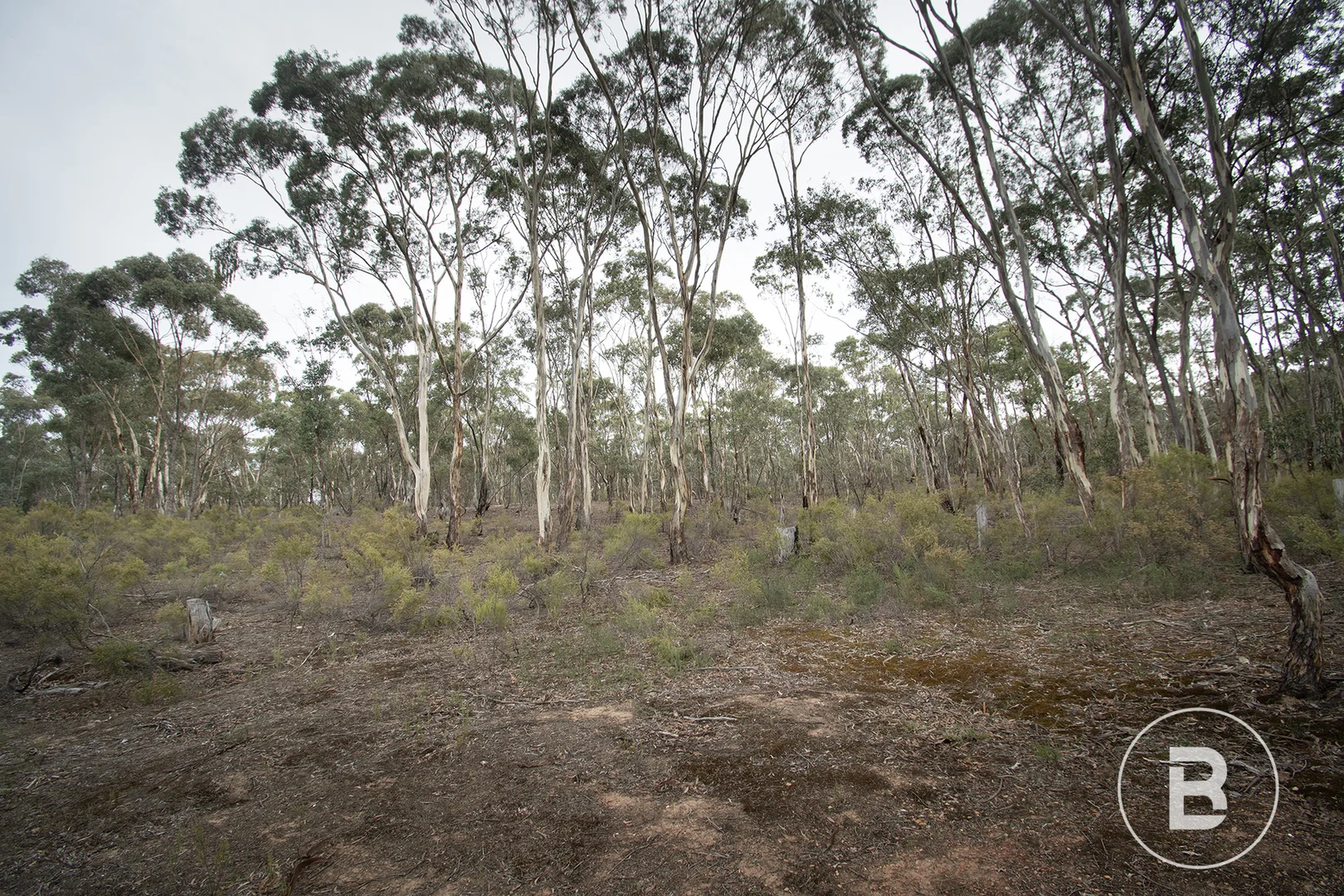 Additional image 21 of 1/557 Majorca Road, Maryborough VIC 3465