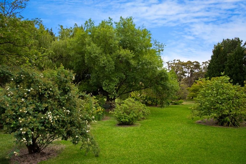 Lot 215 Burwan Street, Berrima NSW 2577, Image 2