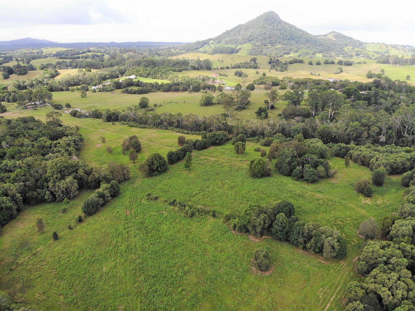 Cooroy QLD 4563, Image 0