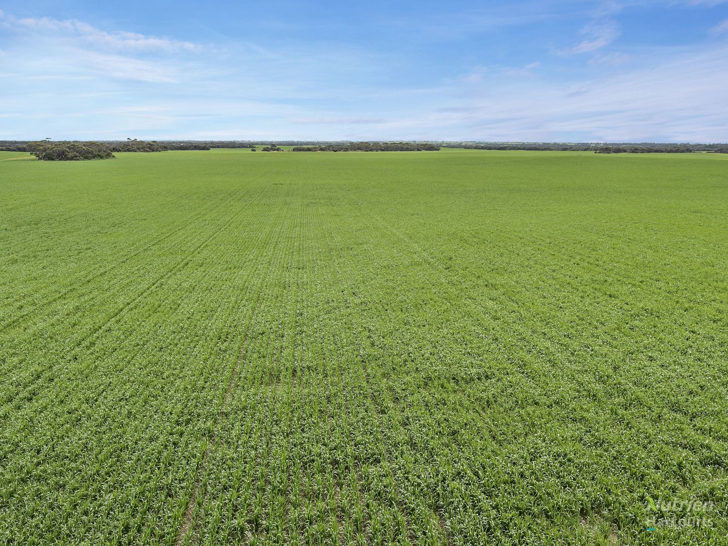 578 White Hut Road, Warooka SA 5577 Specialist Farm for Sale