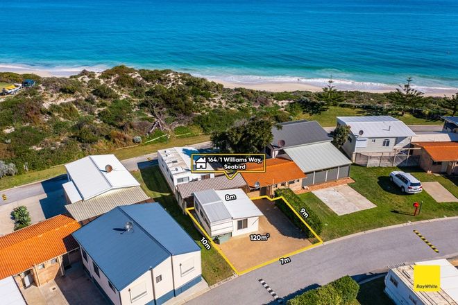 Picture of 164/1 Williams Way, SEABIRD WA 6042