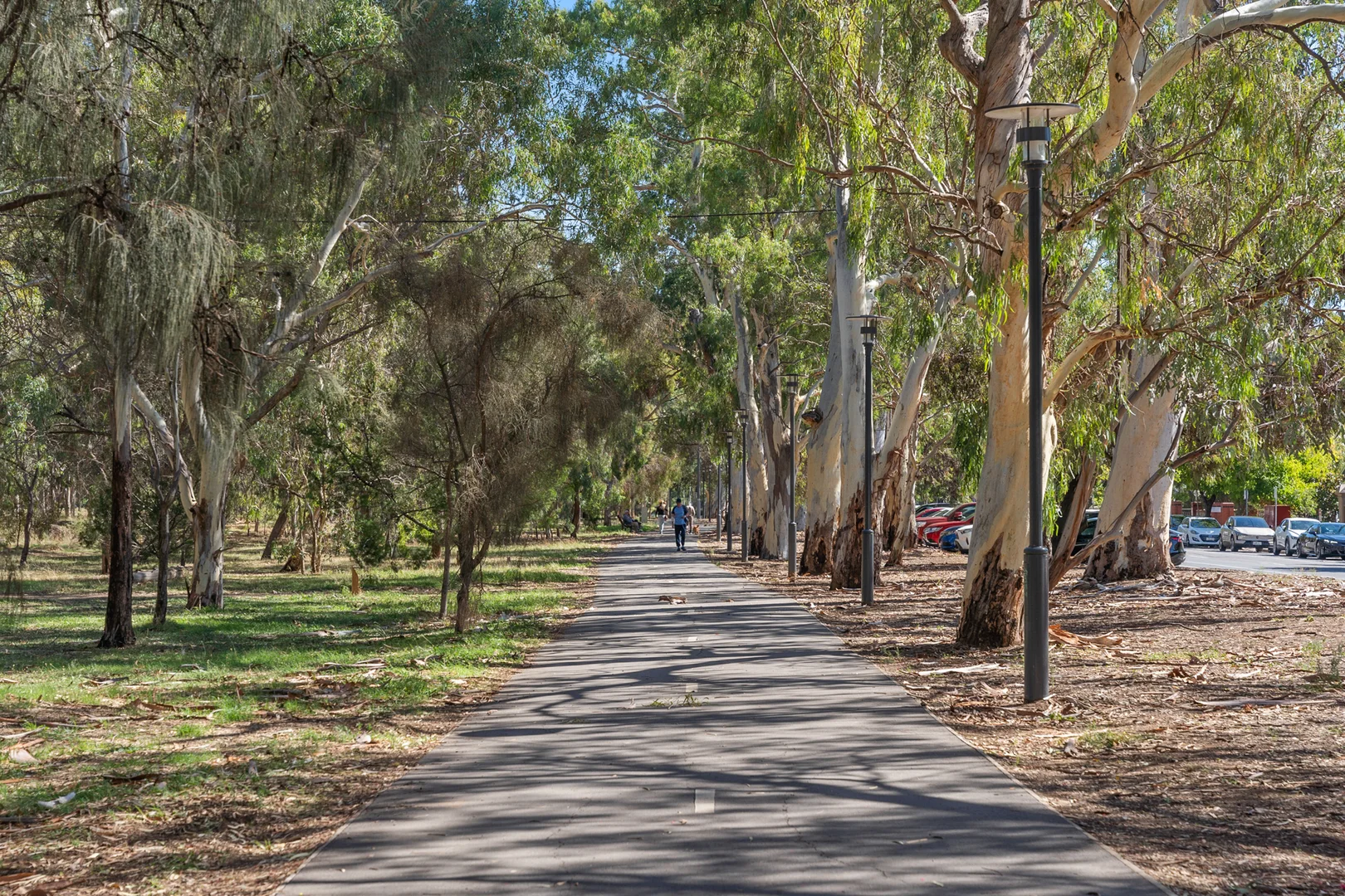 Additional image 25 of 6/373 South Terrace, Adelaide SA 5000