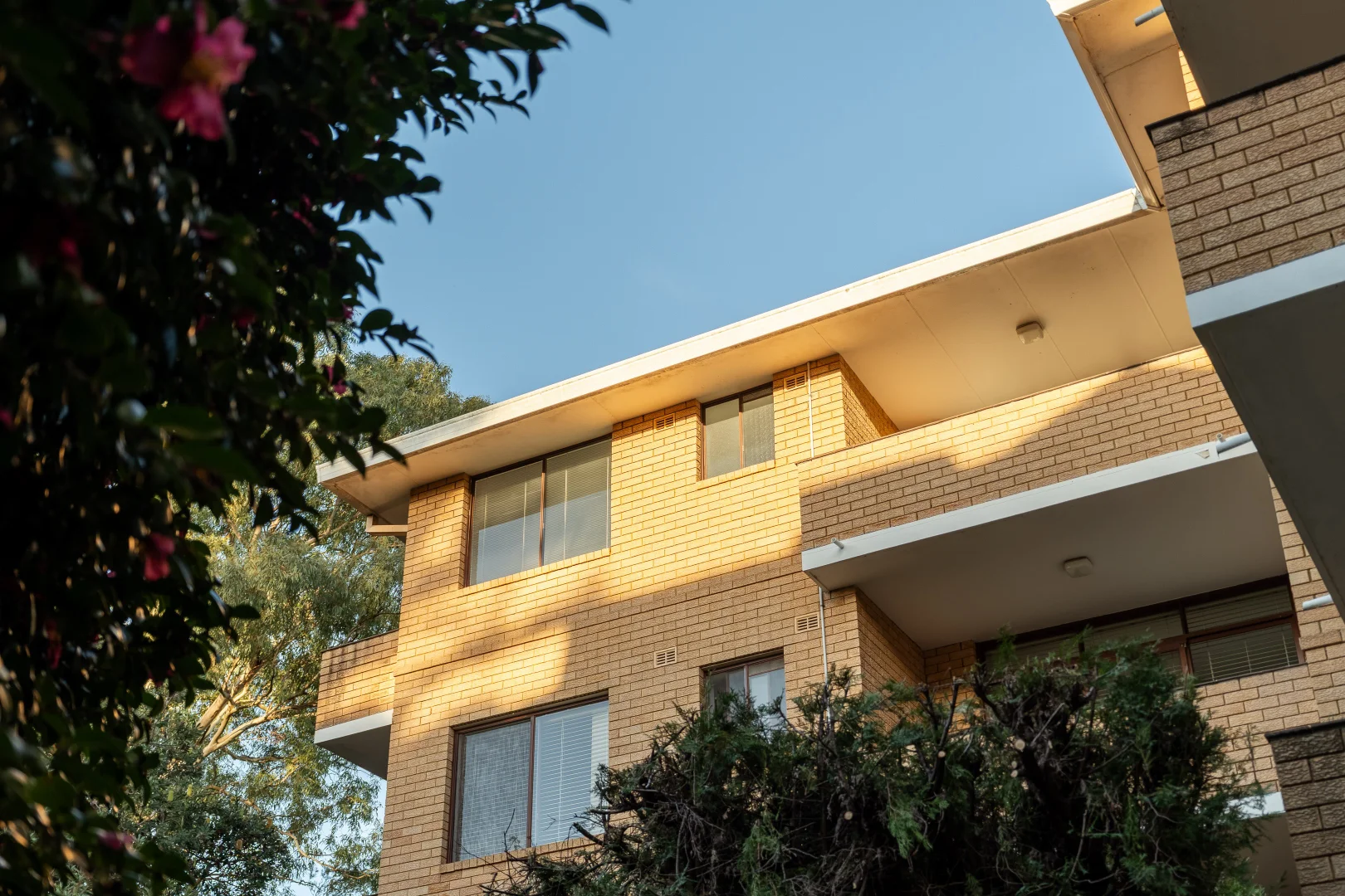 Additional image 18 of 29/51-55 Alt Street, Ashfield NSW 2131