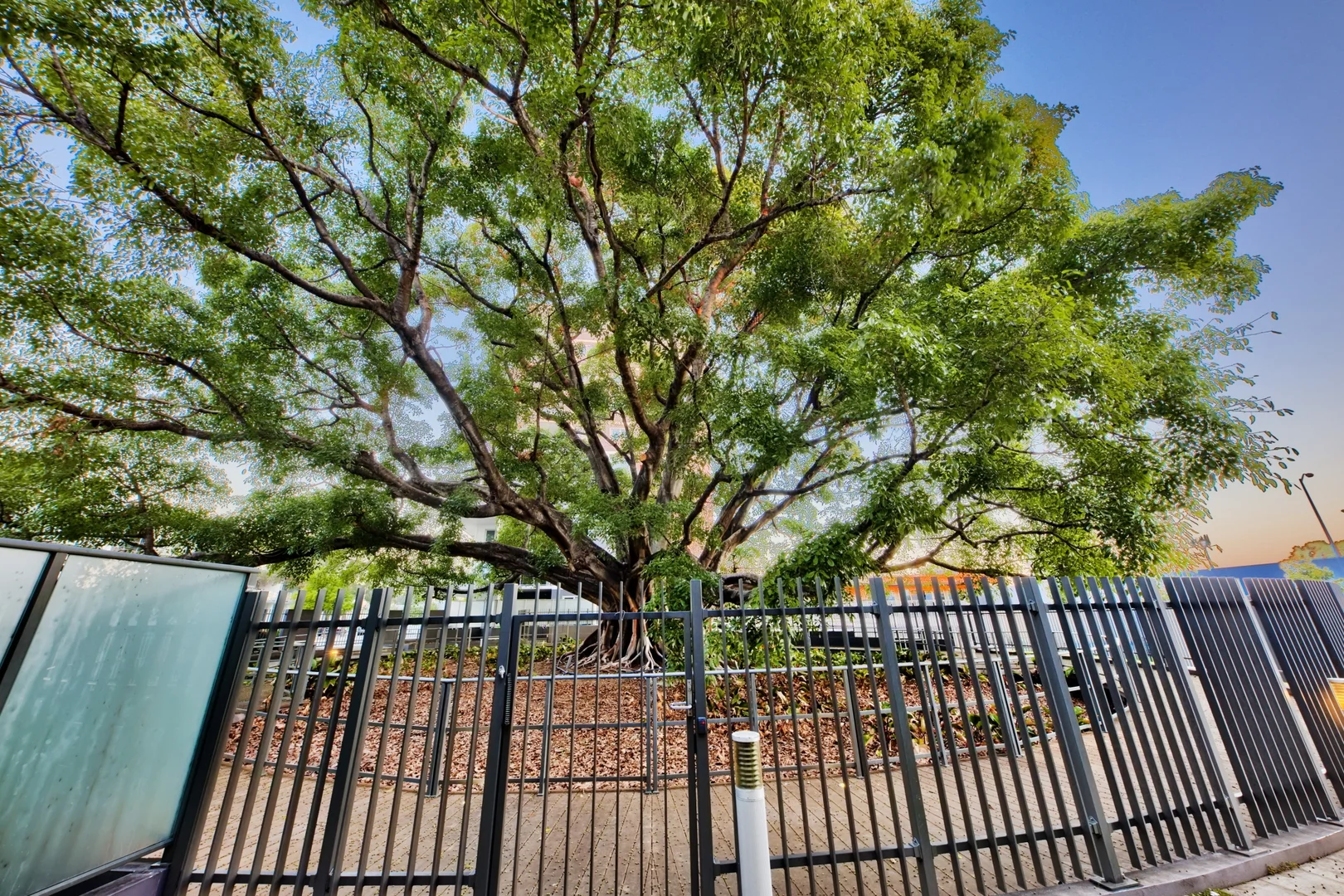 Additional image 26 of 37/1 Rowe Avenue, Rivervale WA 6103