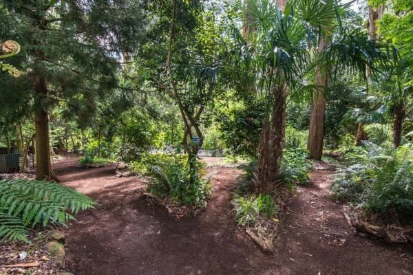 Additional image 11 of 6 Alice Street, Sassafras VIC 3787