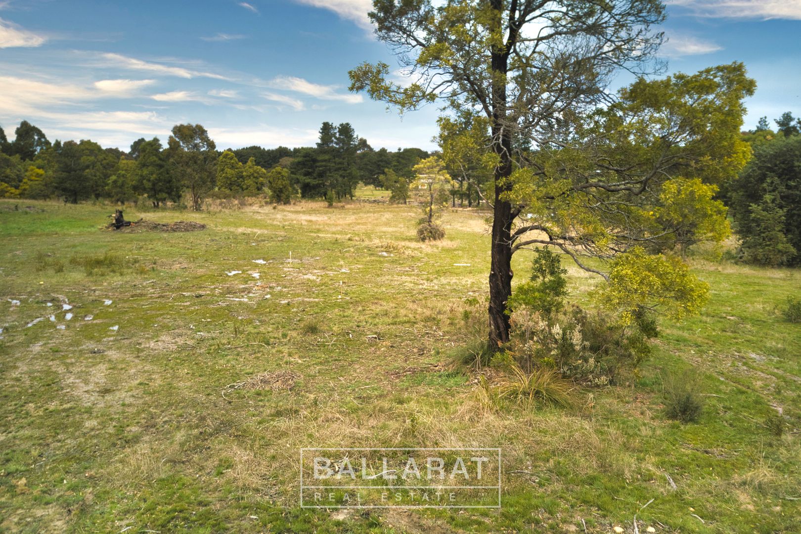 33 Briardale Avenue, Enfield VIC 3352, Image 2