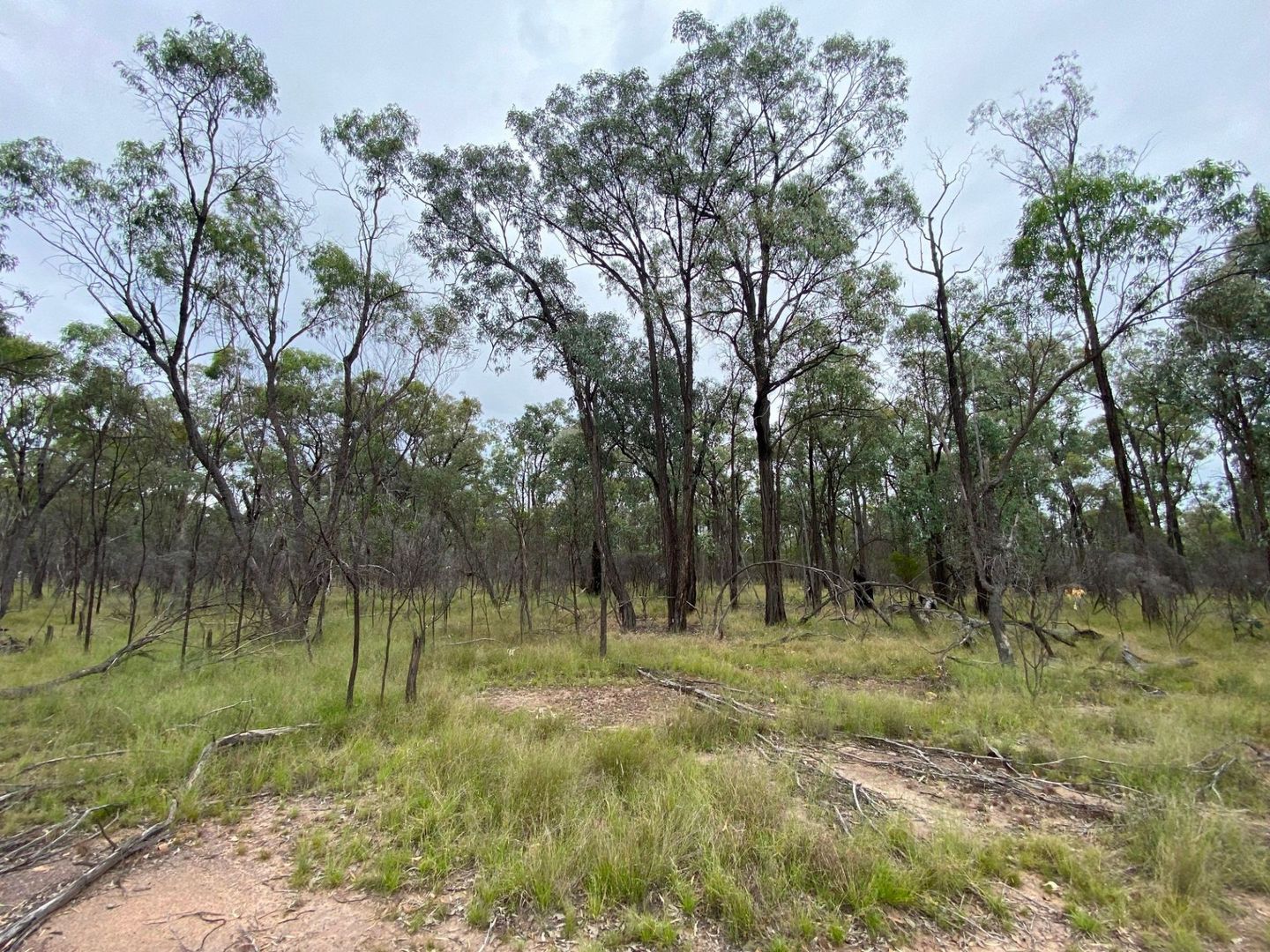 Lot 25 Vickery Road, Goranba QLD 4421, Image 2