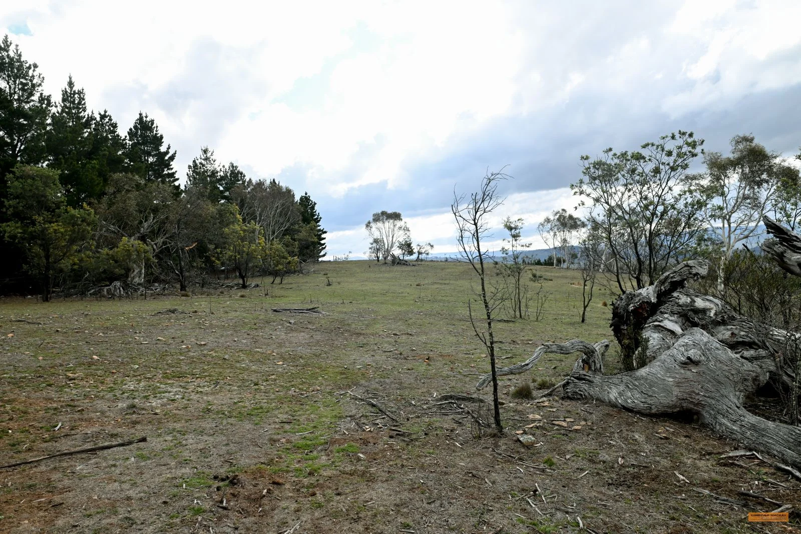 Image 32