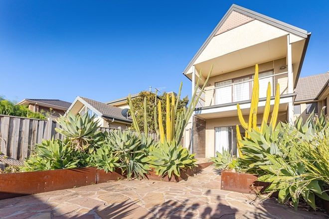 1247 Rental Properties In Point Cook Vic 3030 Domain