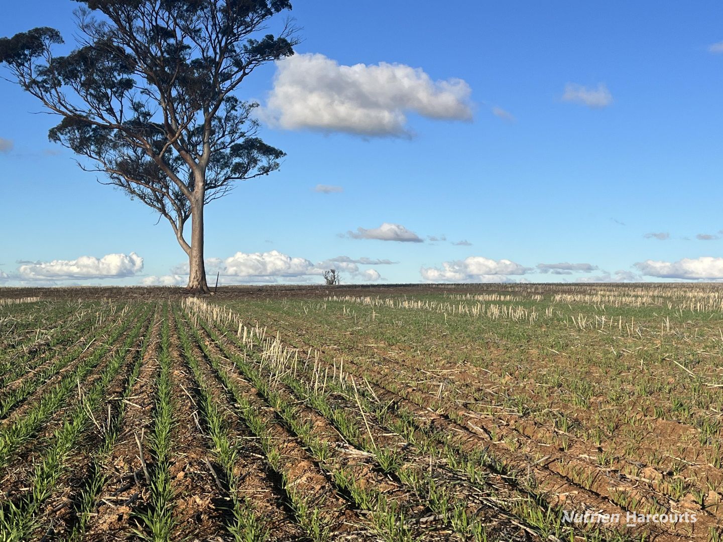 . 'Millers East', Bruce Rock WA 6418, Image 2