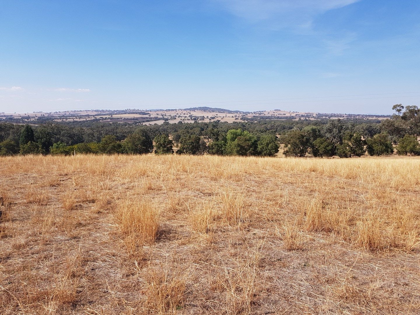 Lot 2 Beatrice Road, Burrumbuttock NSW 2642, Image 0