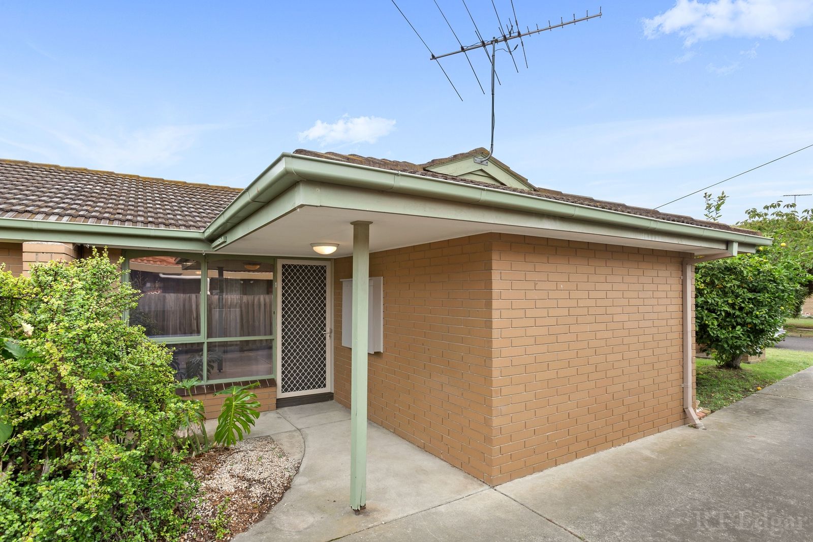 1/3 Morpeth Street, Newcomb VIC 3219, Image 1