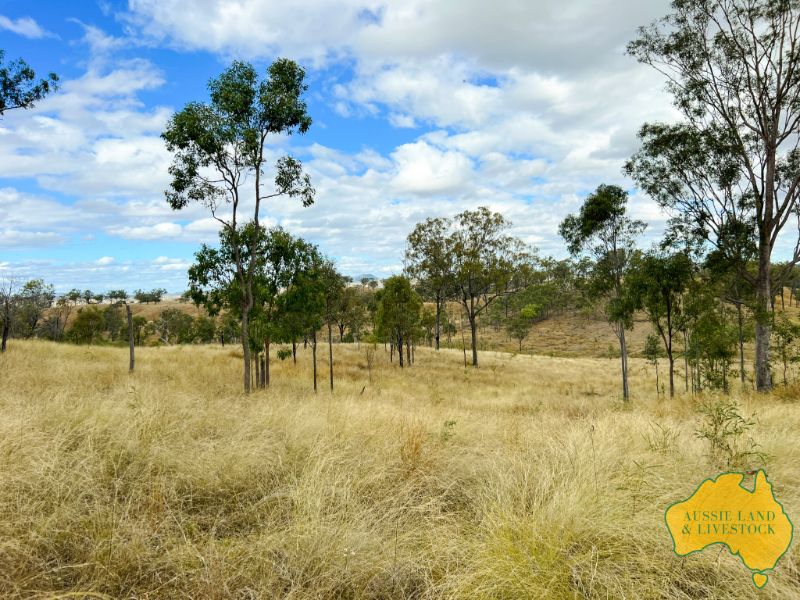 717 ABERDEENS ROAD, Wilson Valley QLD 4625, Image 1