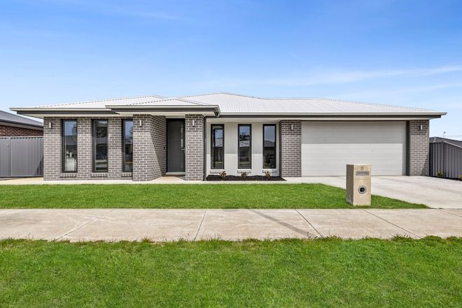 Picture of 8 Adrianus Street, ALFREDTON VIC 3350