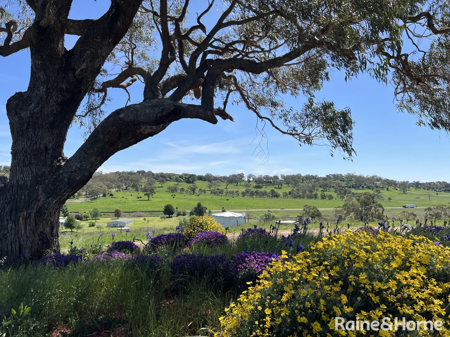 Additional image 23 of 293 Icely Road, Orange NSW 2800