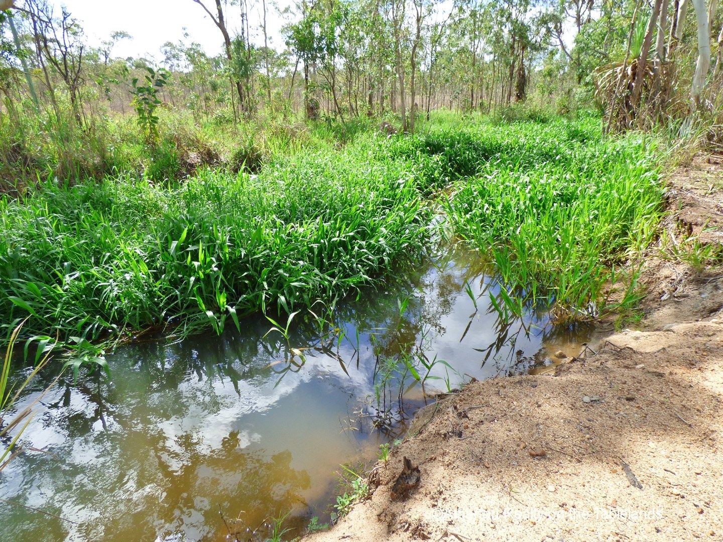 Chewko QLD 4880, Image 2