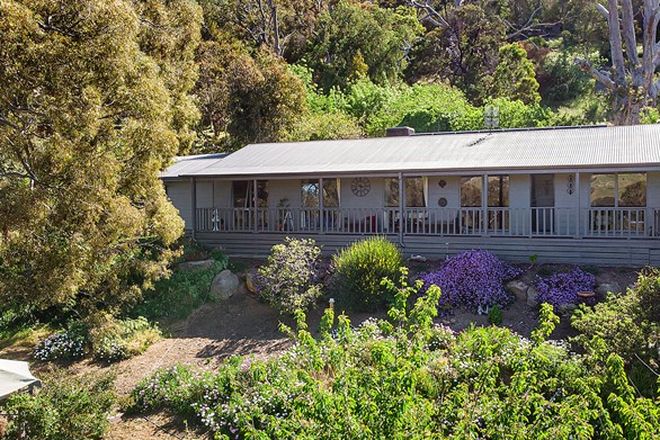 Picture of 8343 Goulburn Valley Hwy, TRAWOOL VIC 3660