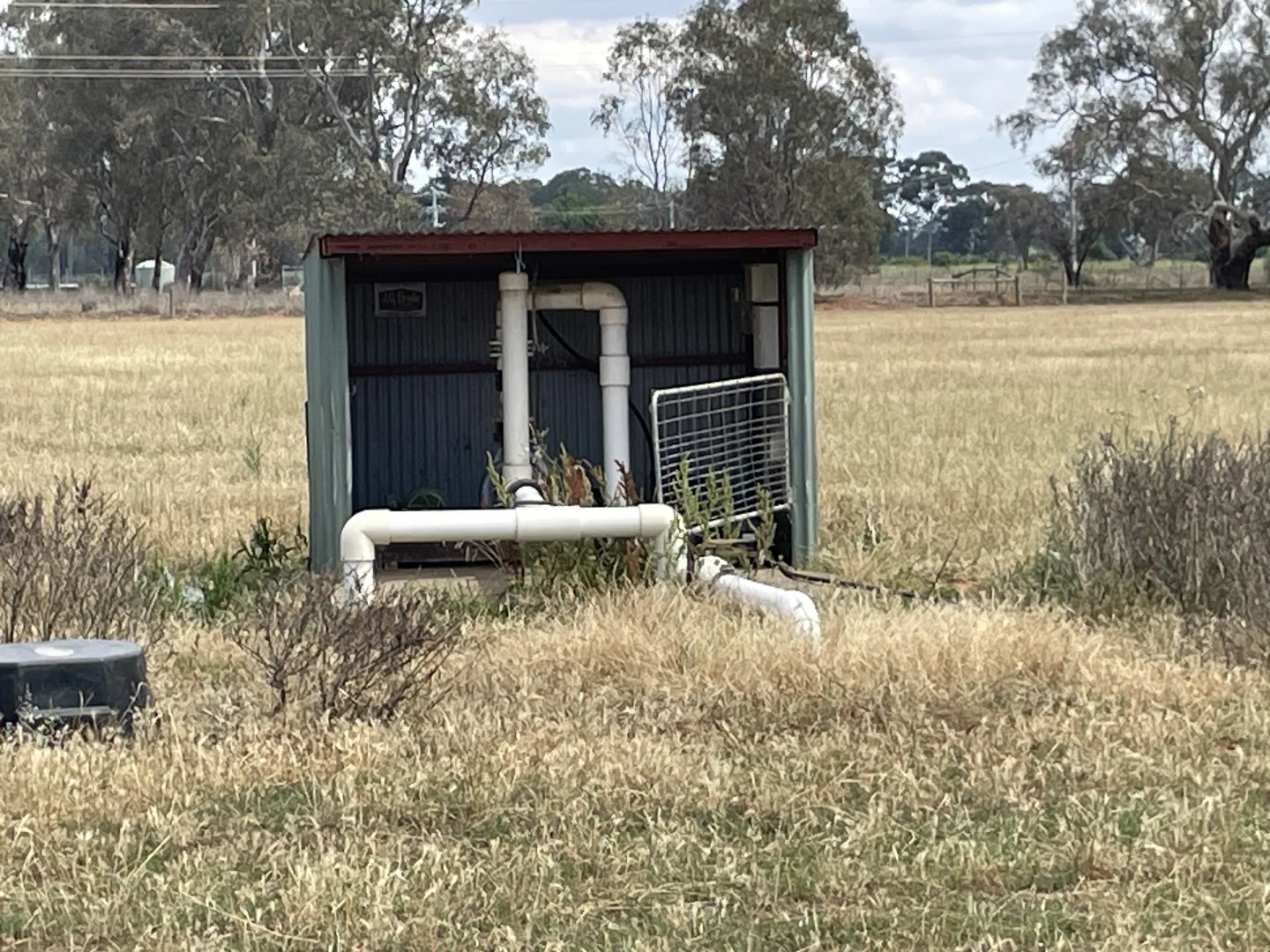 Image 19