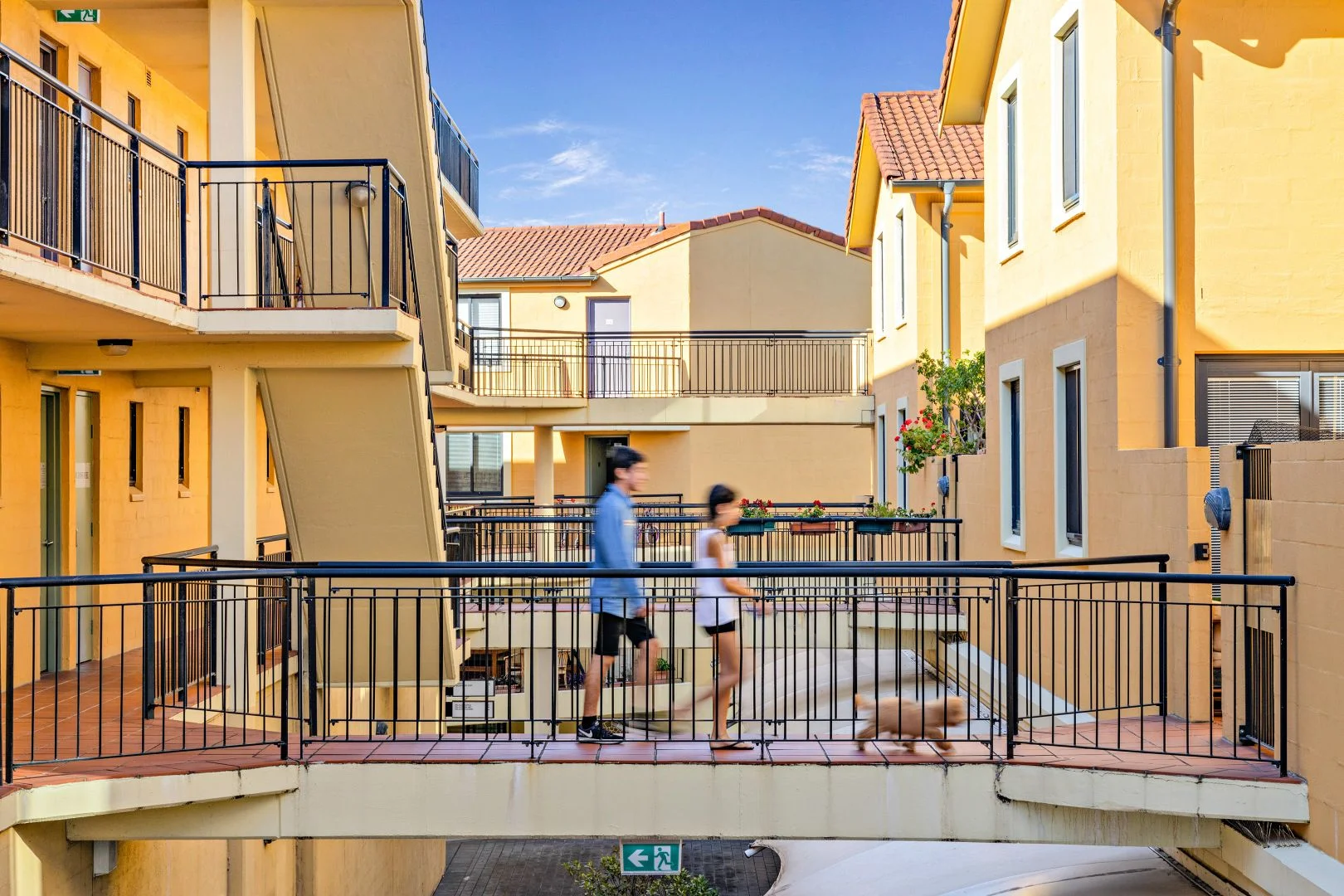 Additional image 12 of 35/21-23 Norton Street, Leichhardt NSW 2040