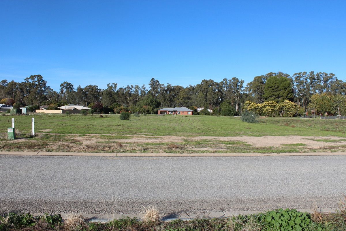 Teddys Lane, Barham NSW 2732, Image 0