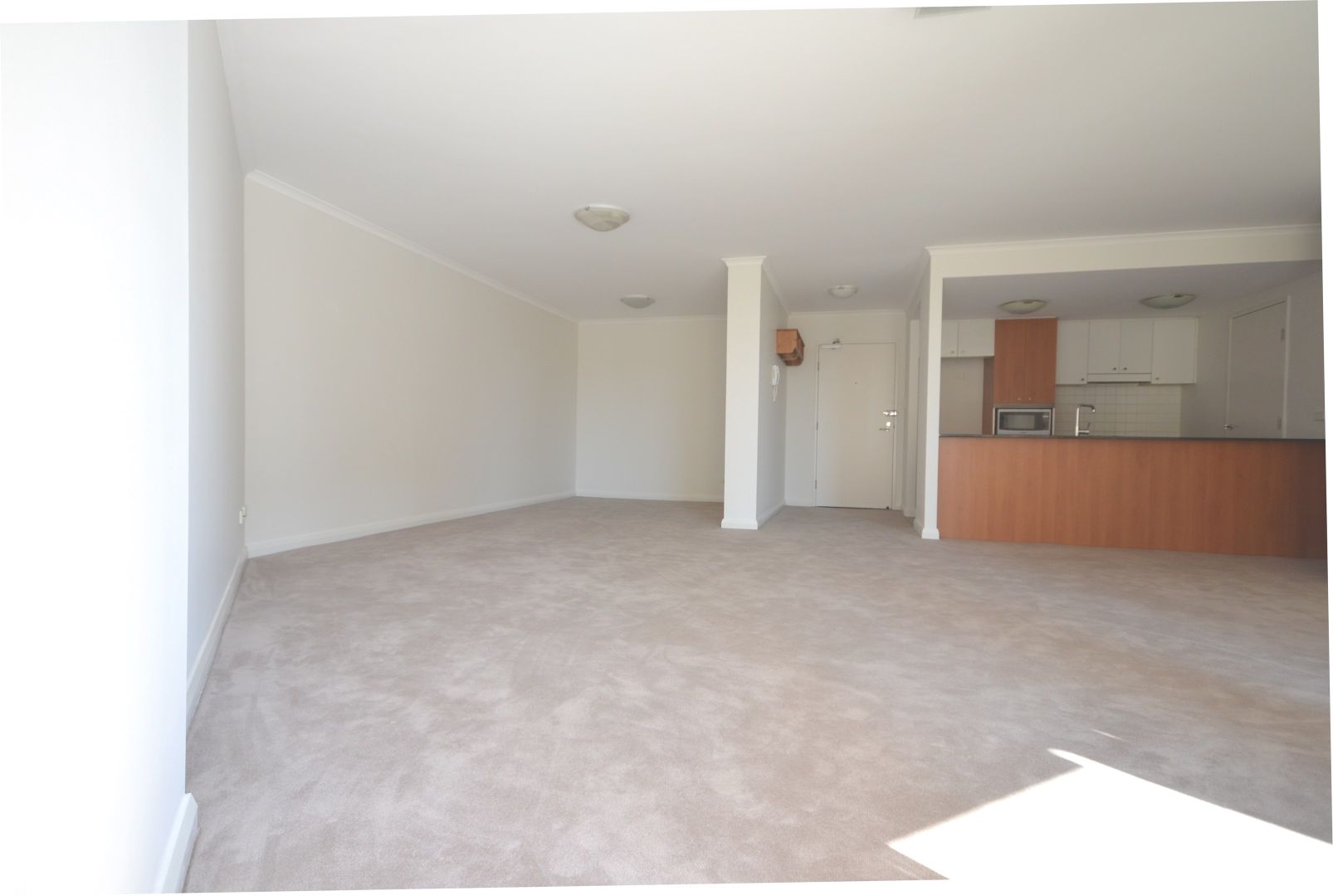 66 Bowman Street, Pyrmont NSW 2009, Image 1