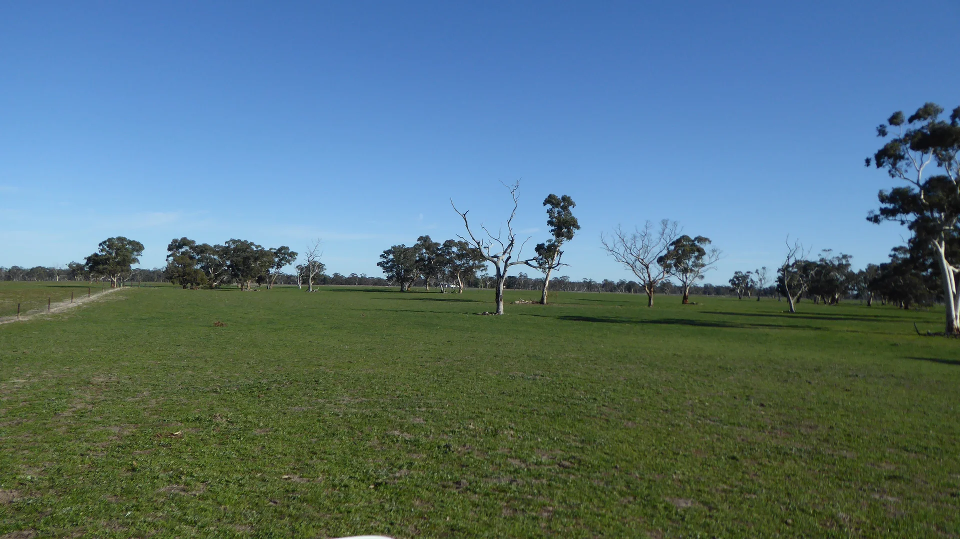 Image 13
