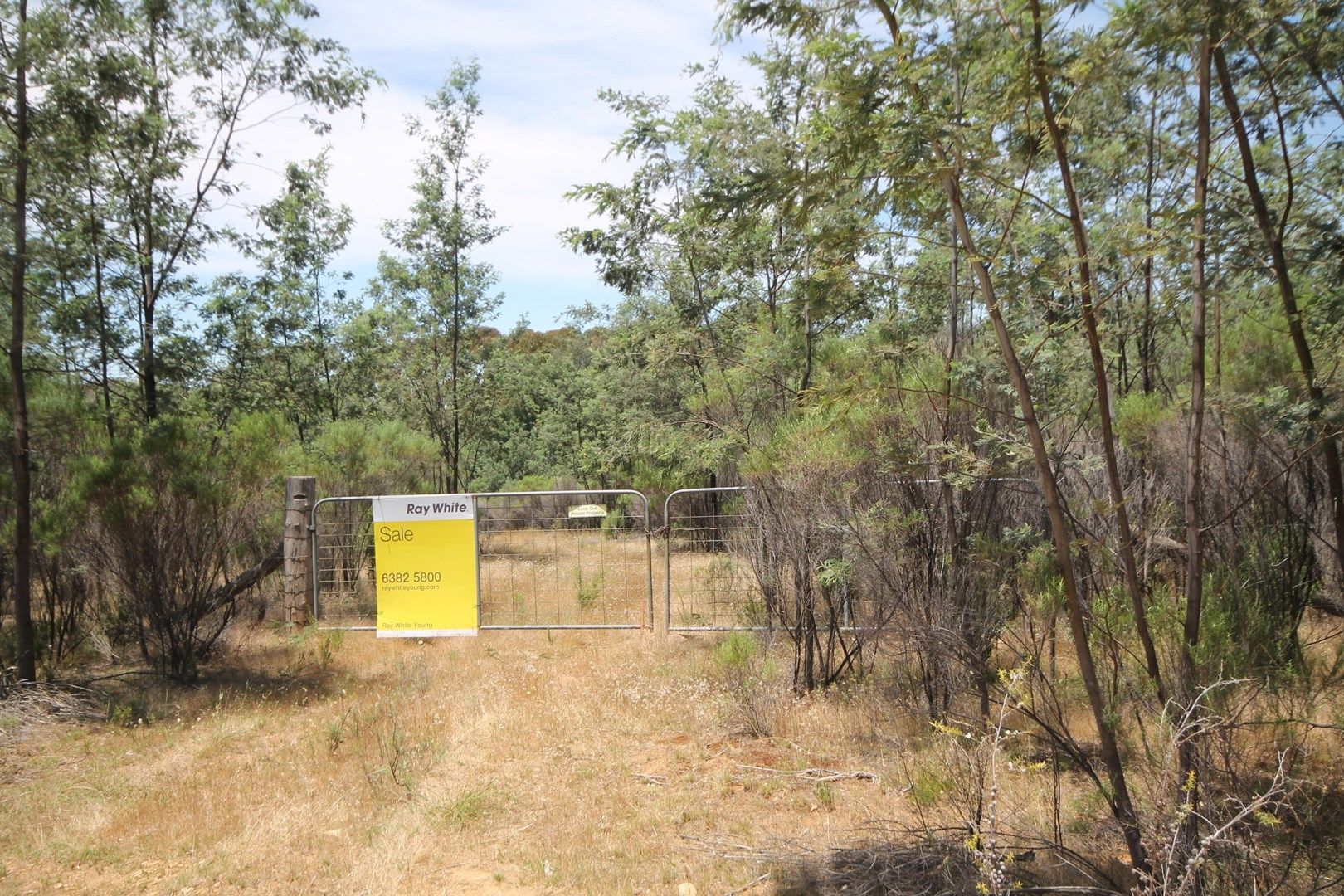 Lot 11 Warrumba Road, Bumbaldry NSW 2794, Image 0